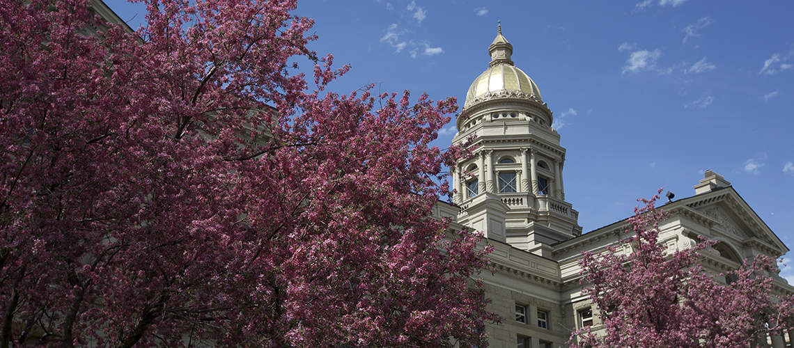 Wyoming Business Relief Program issues first grant payments, application period remains open